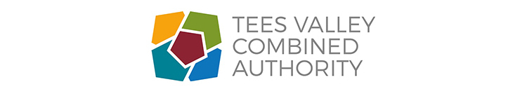 Tees Valley Mayor Details